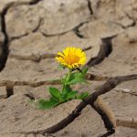 Día Mundial de Lucha contra la Desertificación y la Sequía 2023