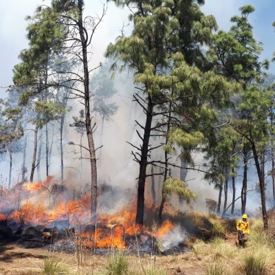 Acciones preventivas contra incendios forestales 2023.